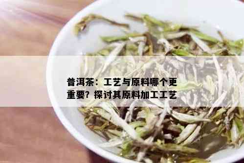 普洱茶：工艺与原料哪个更重要？探讨其原料加工工艺