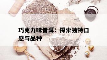 巧克力味普洱：探索独特口感与品种