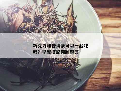 巧克力和普洱茶可以一起吃吗？早餐搭配问题解答