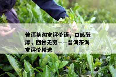 普洱茶淘宝评价语，口感醇厚，回甘无穷——普洱茶淘宝评价精选