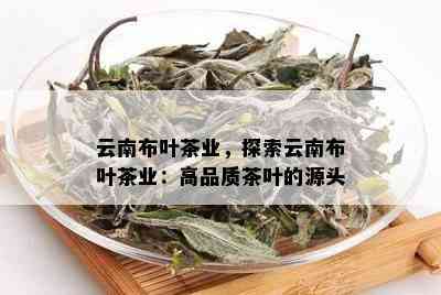 云南布叶茶业，探索云南布叶茶业：高品质茶叶的源头