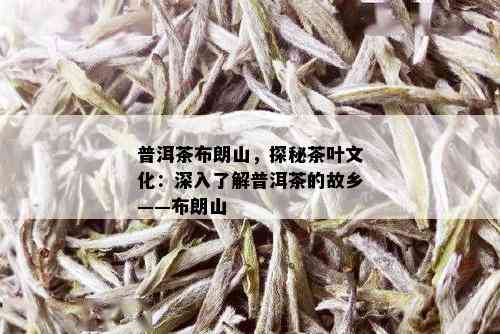 普洱茶布朗山，探秘茶叶文化：深入了解普洱茶的故乡——布朗山