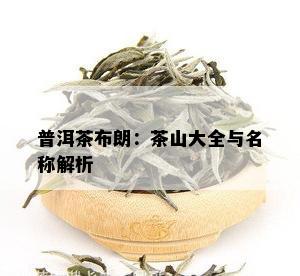 普洱茶布朗：茶山大全与名称解析