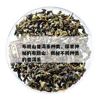 布朗山普洱茶种类，探索神秘的布朗山：揭秘不同种类的普洱茶