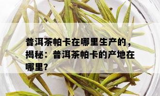 普洱茶帕卡在哪里生产的，揭秘：普洱茶帕卡的产地在哪里？