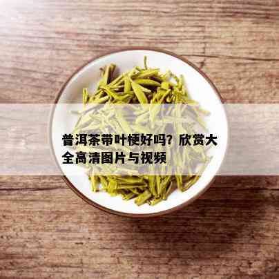 普洱茶带叶梗好吗？欣赏大全高清图片与视频