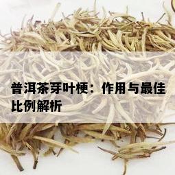 普洱茶芽叶梗：作用与更佳比例解析