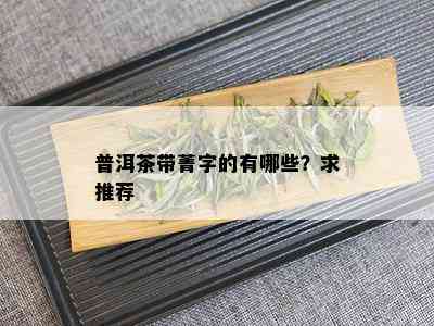 普洱茶带菁字的有哪些？求推荐