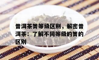 普洱茶箐等级区别，解密普洱茶：了解不同等级的箐的区别