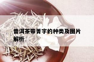 普洱茶带菁字的种类及图片解析