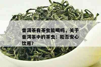 普洱茶有茶虫能喝吗，关于普洱茶中的茶虫：能否安心饮用？