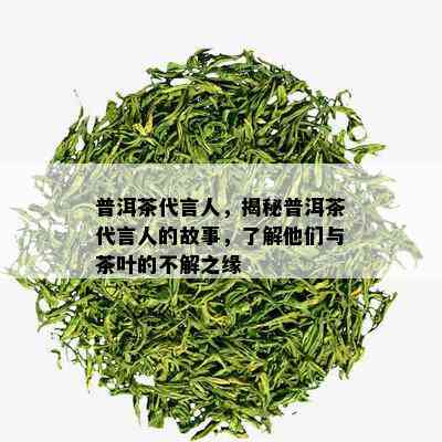 普洱茶代言人，揭秘普洱茶代言人的故事，了解他们与茶叶的不解之缘