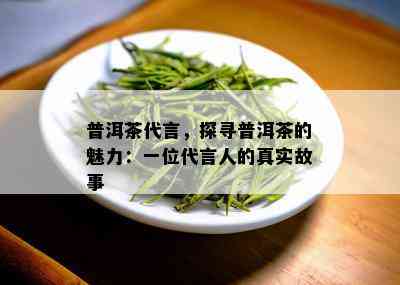 普洱茶代言，探寻普洱茶的魅力：一位代言人的真实故事