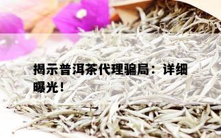 揭示普洱茶代理骗局：详细曝光！