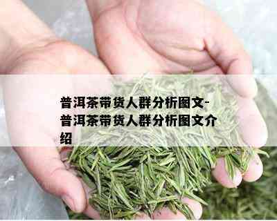 普洱茶带货人群分析图文-普洱茶带货人群分析图文介绍