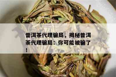 普洱茶代理骗局，揭秘普洱茶代理骗局：你可能被骗了！