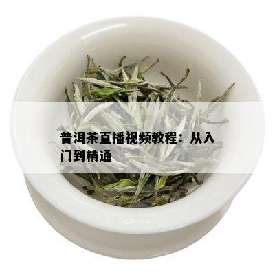 普洱茶直播视频教程：从入门到精通