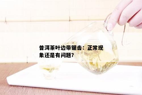 普洱茶叶边带锯齿：正常现象还是有问题？