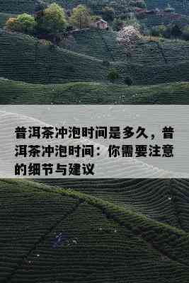 普洱茶冲泡时间是多久，普洱茶冲泡时间：你需要注意的细节与建议