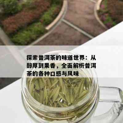 探索普洱茶的味道世界：从醇厚到果香，全面解析普洱茶的各种口感与风味