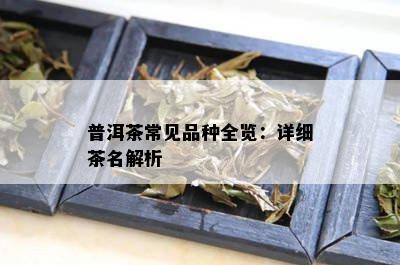 普洱茶常见品种全览：详细茶名解析