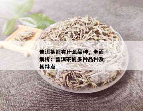 普洱茶都有什么品种，全面解析：普洱茶的多种品种及其特点