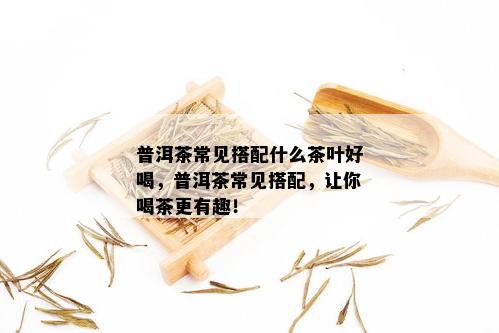 普洱茶常见搭配什么茶叶好喝，普洱茶常见搭配，让你喝茶更有趣！