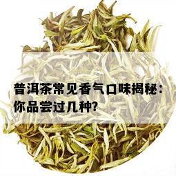 普洱茶常见香气口味揭秘：你品尝过几种？