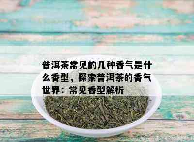 普洱茶常见的几种香气是什么香型，探索普洱茶的香气世界：常见香型解析