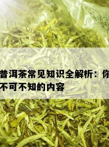 普洱茶常见知识全解析：你不可不知的内容