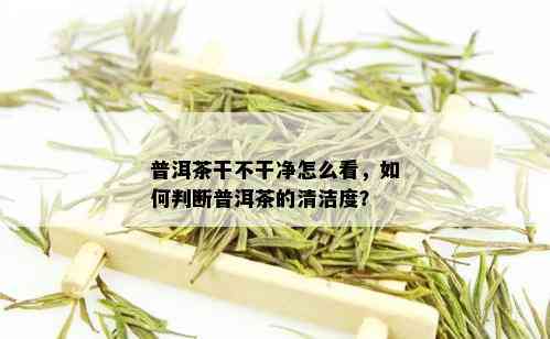 普洱茶干不干净怎么看，如何判断普洱茶的清洁度？