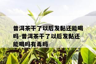 普洱茶干了以后发黏还能喝吗-普洱茶干了以后发黏还能喝吗有吗