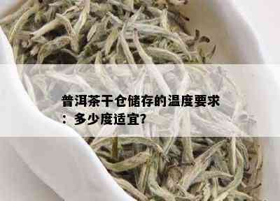 普洱茶干仓储存的温度要求：多少度适宜？