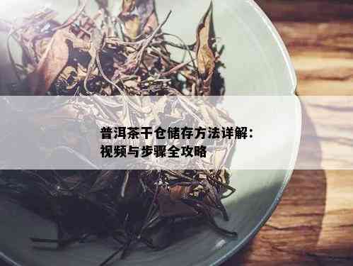 普洱茶干仓储存方法详解：视频与步骤全攻略