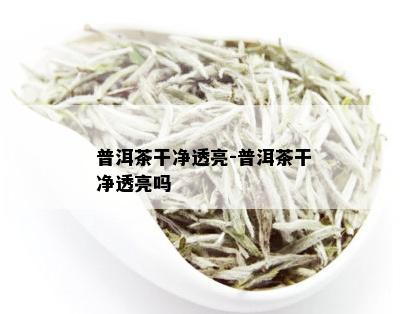 普洱茶干净透亮-普洱茶干净透亮吗