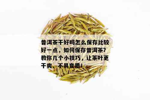 普洱茶干好吗怎么保存比较好一点，如何保存普洱茶？教你几个小技巧，让茶叶更干爽、不易变质！