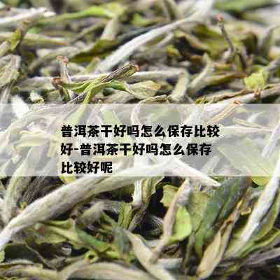 普洱茶干好吗怎么保存比较好-普洱茶干好吗怎么保存比较好呢