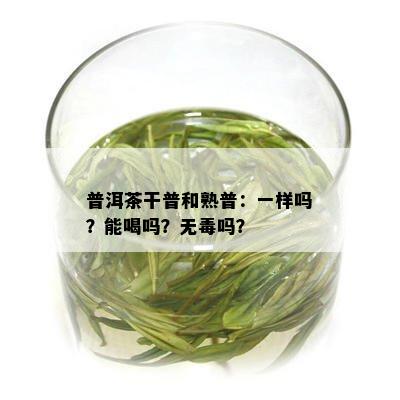 普洱茶干普和熟普：一样吗？能喝吗？无吗？