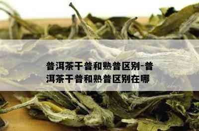 普洱茶干普和熟普区别-普洱茶干普和熟普区别在哪