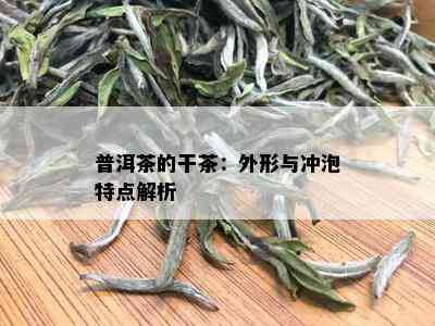 普洱茶的干茶：外形与冲泡特点解析