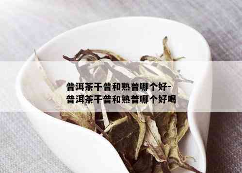 普洱茶干普和熟普哪个好-普洱茶干普和熟普哪个好喝