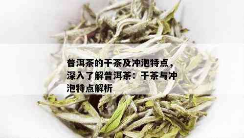 普洱茶的干茶及冲泡特点，深入了解普洱茶：干茶与冲泡特点解析