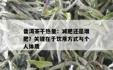 普洱茶干热量：减肥还是增肥？关键在于饮用方式与个人体质