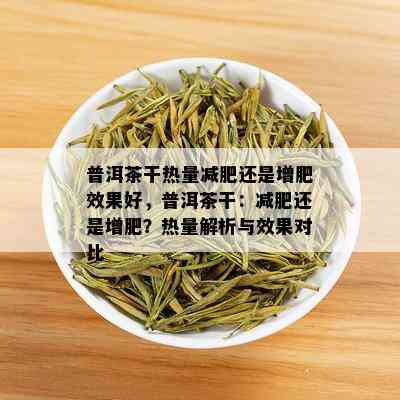 普洱茶干热量减肥还是增肥效果好，普洱茶干：减肥还是增肥？热量解析与效果对比