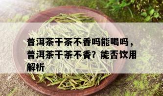 普洱茶干茶不香吗能喝吗，普洱茶干茶不香？能否饮用解析