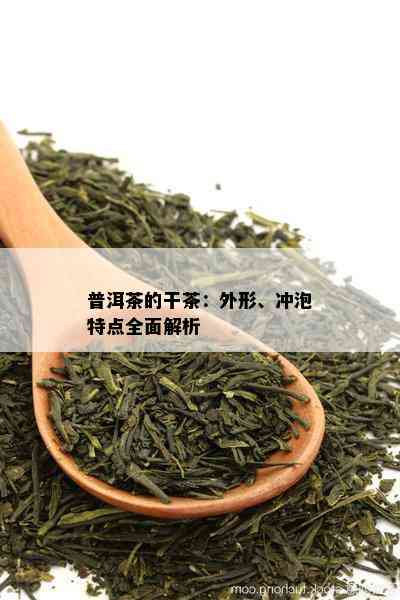 普洱茶的干茶：外形、冲泡特点全面解析