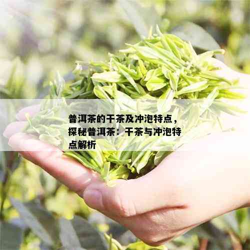 普洱茶的干茶及冲泡特点，探秘普洱茶：干茶与冲泡特点解析