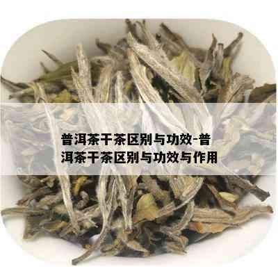 普洱茶干茶区别与功效-普洱茶干茶区别与功效与作用