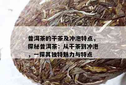 普洱茶的干茶及冲泡特点，探秘普洱茶：从干茶到冲泡，一探其独特魅力与特点