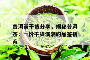 普洱茶干货分享，揭秘普洱茶：一份干货满满的品鉴指南